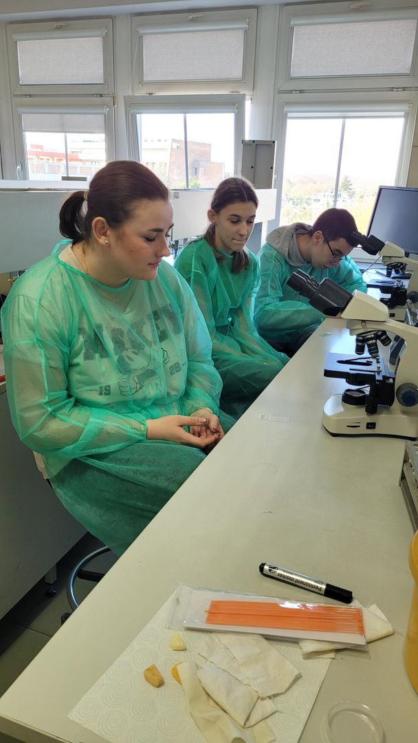 Trzy osoby w zielonych fartuchach laboratoryjnych siedzące przy stole laboratoryjnym, na którym znajdują się mikroskopy.